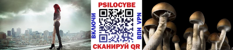 Псилоцибиновые грибы GOLDEN TEACHER  Белинский 